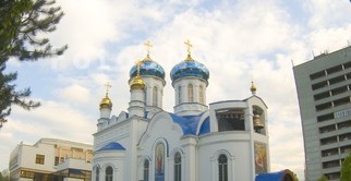 икона божией матери целительница чудотворная. Смотреть фото икона божией матери целительница чудотворная. Смотреть картинку икона божией матери целительница чудотворная. Картинка про икона божией матери целительница чудотворная. Фото икона божией матери целительница чудотворная