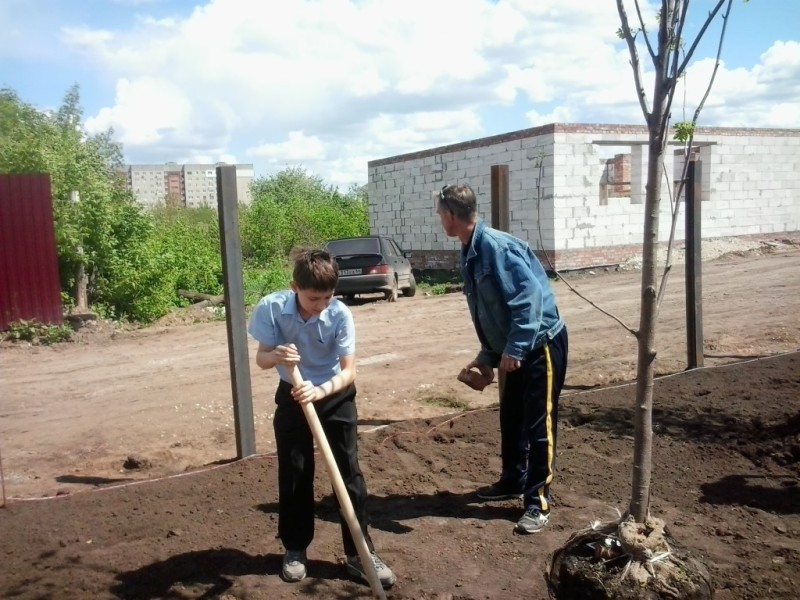 Посадка деревьев